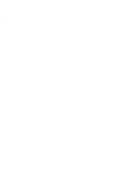 https://s3.us-west-1.wasabisys.com/ecart-content/cargeektees.com/overlays/353/142/35314261.png img