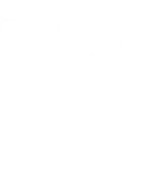 https://s3.us-west-1.wasabisys.com/ecart-content/cargeektees.com/overlays/353/142/35314263.png img