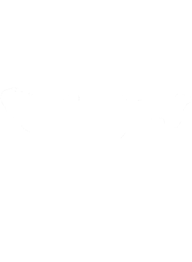https://s3.us-west-1.wasabisys.com/ecart-content/cargeektees.com/overlays/353/142/35314266.png img