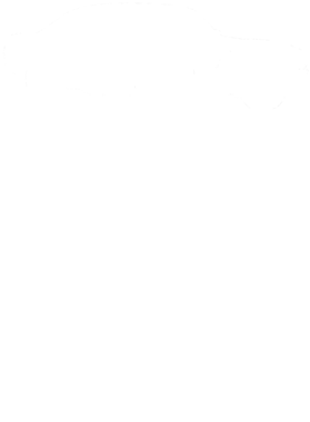 https://s3.us-west-1.wasabisys.com/ecart-content/cargeektees.com/overlays/353/666/35366652.png img