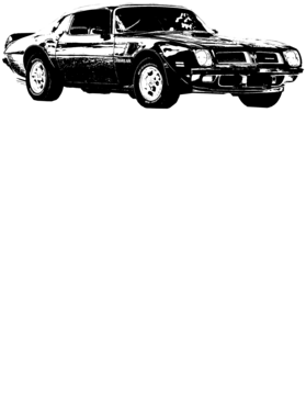 https://s3.us-west-1.wasabisys.com/ecart-content/cargeektees.com/overlays/353/666/35366665.png img