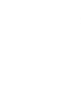 https://s3.us-west-1.wasabisys.com/ecart-content/cargeektees.com/overlays/353/666/35366687.png img