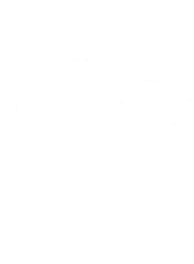 https://s3.us-west-1.wasabisys.com/ecart-content/cargeektees.com/overlays/353/667/35366726.png img