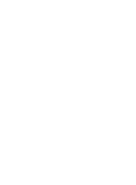 https://s3.us-west-1.wasabisys.com/ecart-content/cargeektees.com/overlays/353/667/35366758.png img