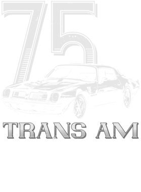 https://s3.us-west-1.wasabisys.com/ecart-content/cargeektees.com/overlays/353/985/35398548.png img