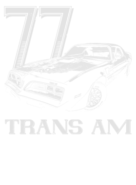 https://s3.us-west-1.wasabisys.com/ecart-content/cargeektees.com/overlays/354/987/35498722.png img