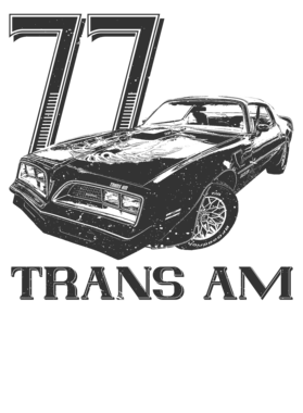 https://s3.us-west-1.wasabisys.com/ecart-content/cargeektees.com/overlays/354/987/35498723.png img
