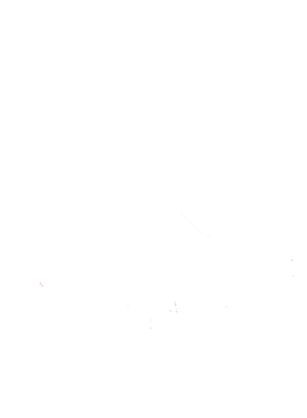 https://s3.us-west-1.wasabisys.com/ecart-content/cargeektees.com/overlays/364/752/36475263.png img