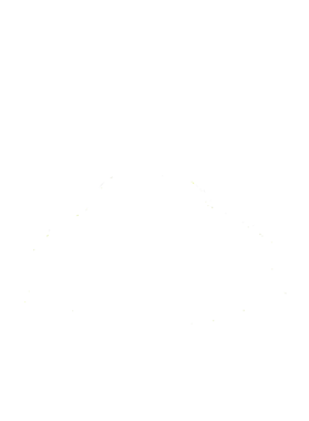 https://s3.us-west-1.wasabisys.com/ecart-content/cargeektees.com/overlays/364/772/36477251.png img