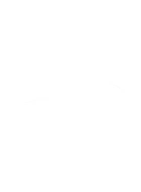 https://s3.us-west-1.wasabisys.com/ecart-content/cargeektees.com/overlays/364/868/36486868.png img