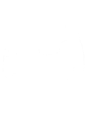 https://s3.us-west-1.wasabisys.com/ecart-content/cargeektees.com/overlays/371/554/37155483.png img