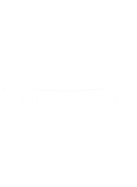 https://s3.us-west-1.wasabisys.com/ecart-content/cargeektees.com/overlays/383/298/38329885.png img