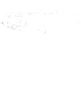 https://s3.us-west-1.wasabisys.com/ecart-content/cargeektees.com/overlays/389/436/38943624.png img