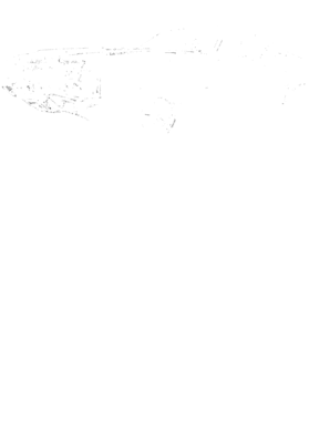 https://s3.us-west-1.wasabisys.com/ecart-content/cargeektees.com/overlays/389/436/38943626.png img