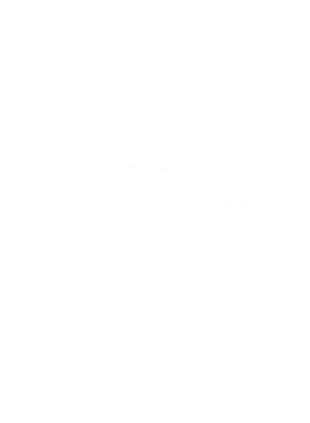 https://s3.us-west-1.wasabisys.com/ecart-content/cargeektees.com/overlays/389/606/38960605.png img
