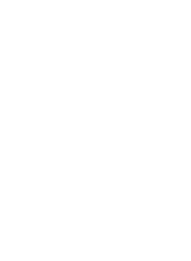 https://s3.us-west-1.wasabisys.com/ecart-content/cargeektees.com/overlays/389/606/38960607.png img