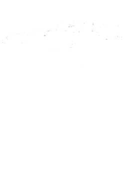 https://s3.us-west-1.wasabisys.com/ecart-content/cargeektees.com/overlays/389/911/38991178.png img