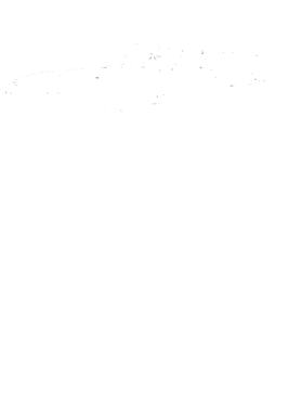 https://s3.us-west-1.wasabisys.com/ecart-content/cargeektees.com/overlays/389/911/38991179.png img