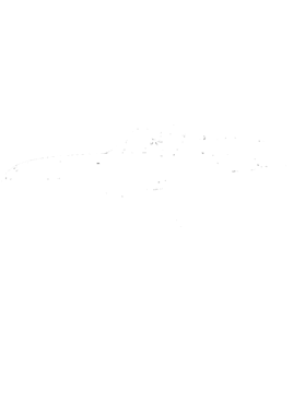 https://s3.us-west-1.wasabisys.com/ecart-content/cargeektees.com/overlays/389/911/38991180.png img