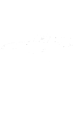 https://s3.us-west-1.wasabisys.com/ecart-content/cargeektees.com/overlays/389/911/38991181.png img