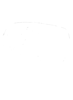 https://s3.us-west-1.wasabisys.com/ecart-content/cargeektees.com/overlays/390/354/39035449.png img