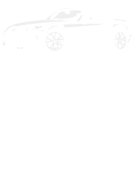 https://s3.us-west-1.wasabisys.com/ecart-content/cargeektees.com/overlays/392/171/39217133.png img