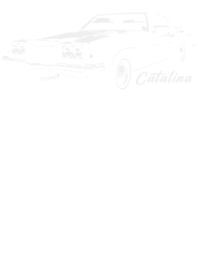 https://s3.us-west-1.wasabisys.com/ecart-content/cargeektees.com/overlays/393/571/39357153.png img