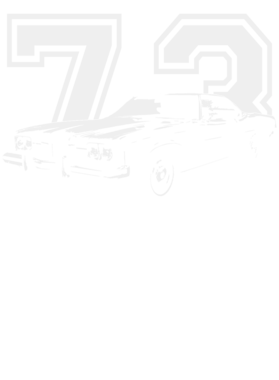 https://s3.us-west-1.wasabisys.com/ecart-content/cargeektees.com/overlays/393/573/39357360.png img