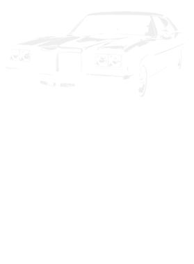https://s3.us-west-1.wasabisys.com/ecart-content/cargeektees.com/overlays/393/676/39367617.png img