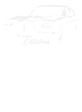 https://s3.us-west-1.wasabisys.com/ecart-content/cargeektees.com/overlays/393/676/39367618.png img