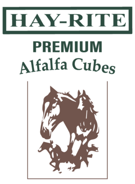https://s3.us-west-1.wasabisys.com/ecart-content/cargeektees.com/overlays/395/058/39505822.png img