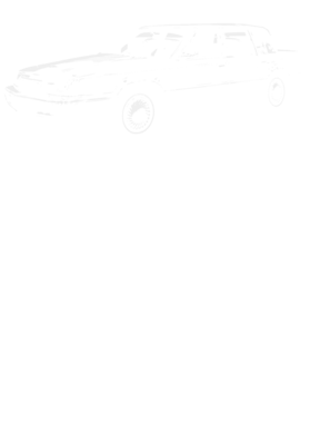 https://s3.us-west-1.wasabisys.com/ecart-content/cargeektees.com/overlays/396/165/39616583.png img