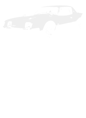 https://s3.us-west-1.wasabisys.com/ecart-content/cargeektees.com/overlays/396/184/39618406.png img