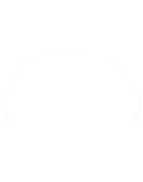 https://s3.us-west-1.wasabisys.com/ecart-content/cargeektees.com/overlays/406/914/4069140.png img