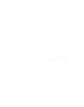https://s3.us-west-1.wasabisys.com/ecart-content/cargeektees.com/overlays/406/998/4069987.png img