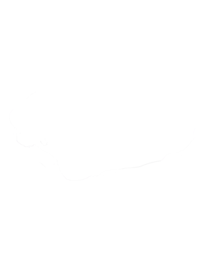 https://s3.us-west-1.wasabisys.com/ecart-content/cargeektees.com/overlays/407/005/4070056.png img