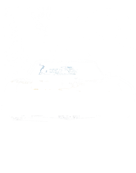 https://s3.us-west-1.wasabisys.com/ecart-content/cargeektees.com/overlays/454/753/4547532.png img