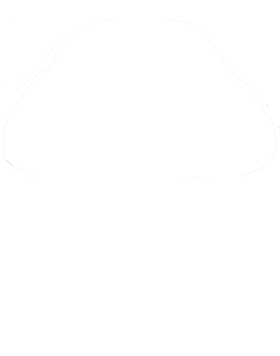 https://s3.us-west-1.wasabisys.com/ecart-content/cargeektees.com/overlays/455/566/4555661.png img