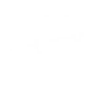 https://s3.us-west-1.wasabisys.com/ecart-content/cargeektees.com/overlays/455/567/4555673.png img