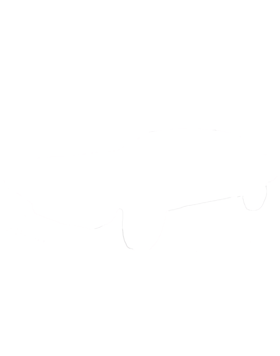https://s3.us-west-1.wasabisys.com/ecart-content/cargeektees.com/overlays/455/567/4555675.png img