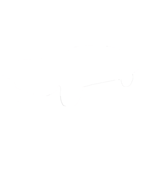 https://s3.us-west-1.wasabisys.com/ecart-content/cargeektees.com/overlays/455/567/4555677.png img