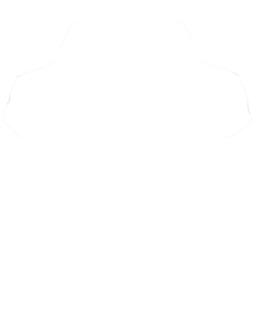 https://s3.us-west-1.wasabisys.com/ecart-content/cargeektees.com/overlays/461/244/4612446.png img