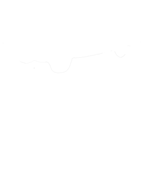 https://s3.us-west-1.wasabisys.com/ecart-content/cargeektees.com/overlays/465/053/4650539.png img