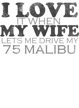 https://s3.us-west-1.wasabisys.com/ecart-content/cargeektees.com/overlays/481/880/4818804.png img