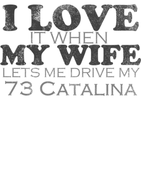 https://s3.us-west-1.wasabisys.com/ecart-content/cargeektees.com/overlays/484/299/4842999.png img