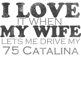 https://s3.us-west-1.wasabisys.com/ecart-content/cargeektees.com/overlays/484/300/4843001.png img
