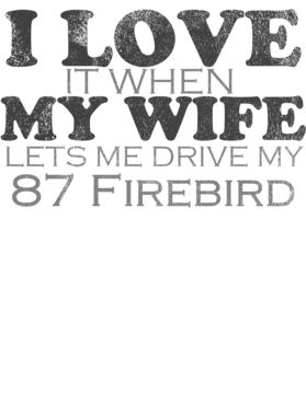 https://s3.us-west-1.wasabisys.com/ecart-content/cargeektees.com/overlays/484/304/4843048.png img