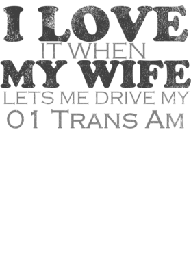 https://s3.us-west-1.wasabisys.com/ecart-content/cargeektees.com/overlays/484/349/4843496.png img