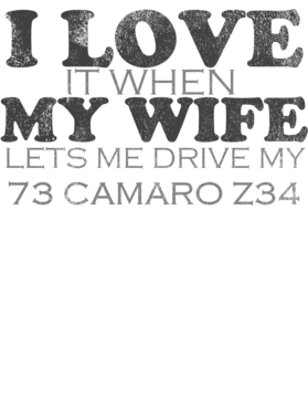 https://s3.us-west-1.wasabisys.com/ecart-content/cargeektees.com/overlays/484/400/4844002.png img