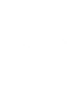 https://s3.us-west-1.wasabisys.com/ecart-content/cargeektees.com/overlays/484/614/4846141.png img